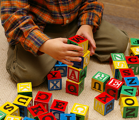 Harvard Links Montessori Schools